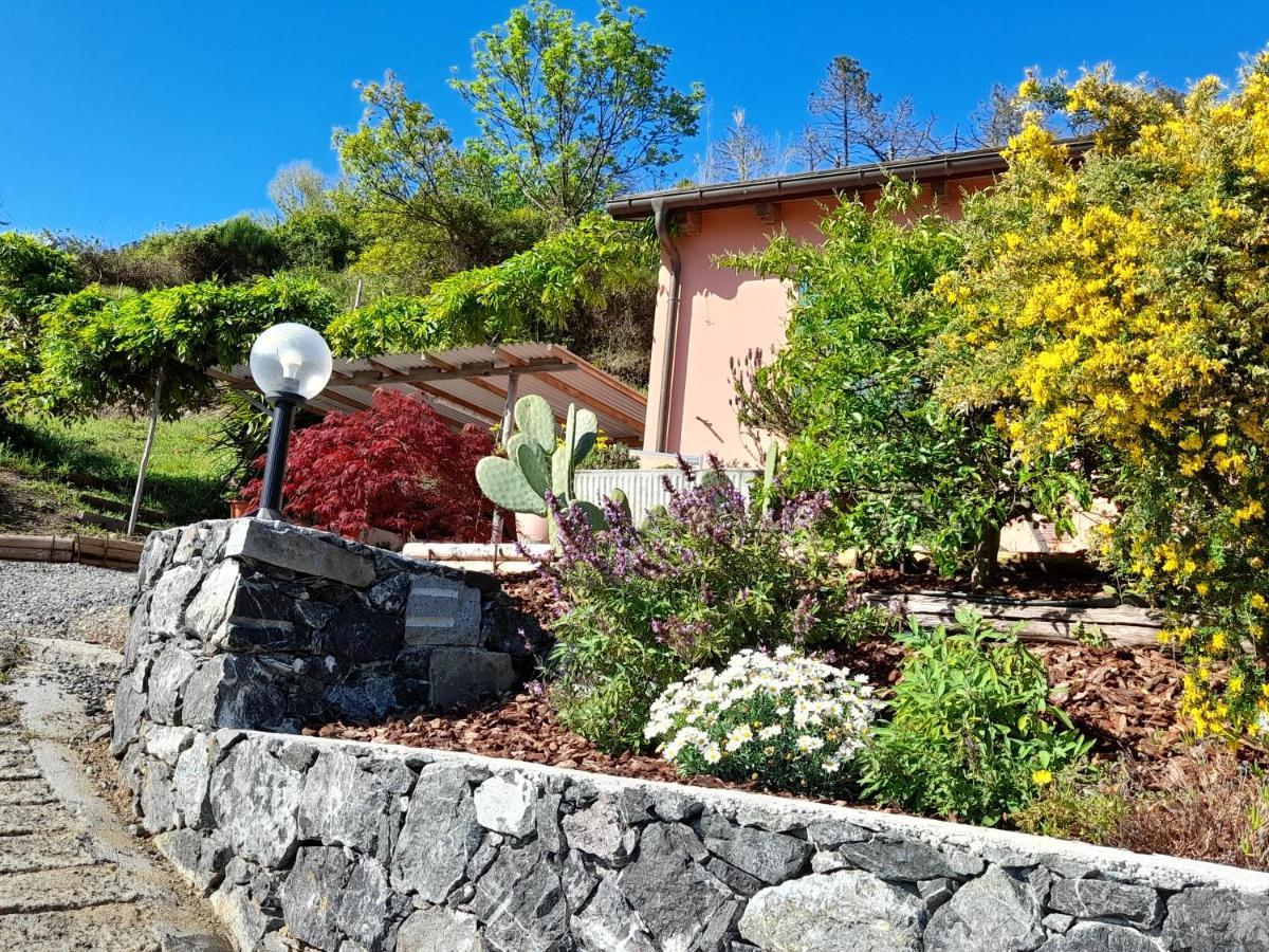 Casa Cinzia Bonassola Cinque Terre Apartment Ngoại thất bức ảnh