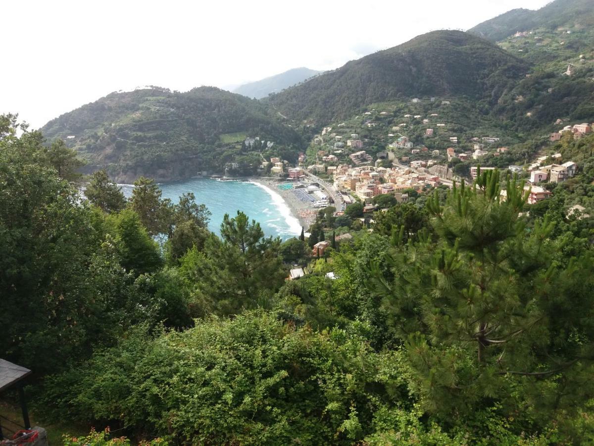 Casa Cinzia Bonassola Cinque Terre Apartment Ngoại thất bức ảnh